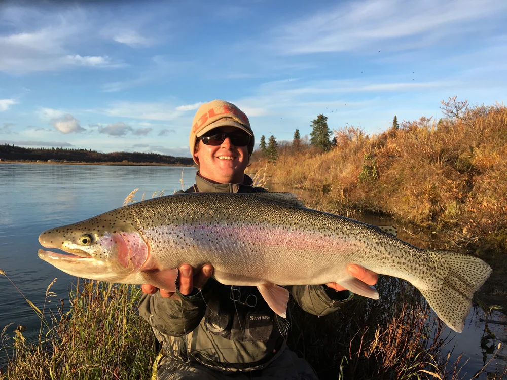Coho Salmon