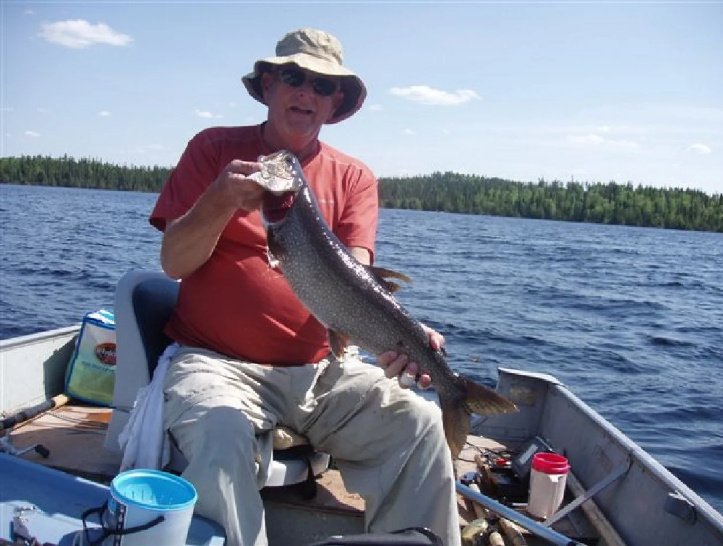 Brook Trout