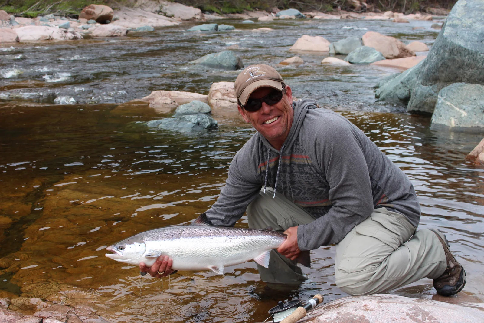 Atlantic Salmon