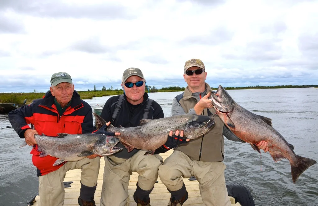 Chinook Salmon
