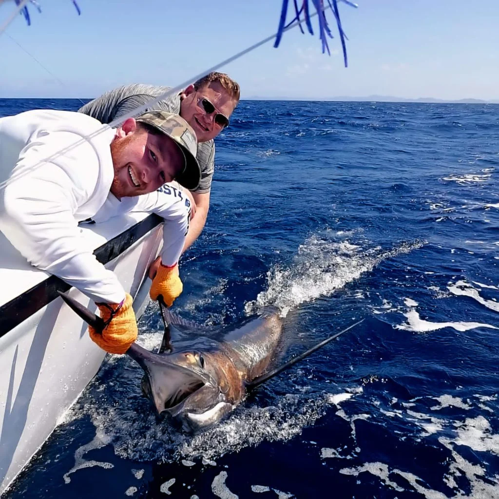 Marlin