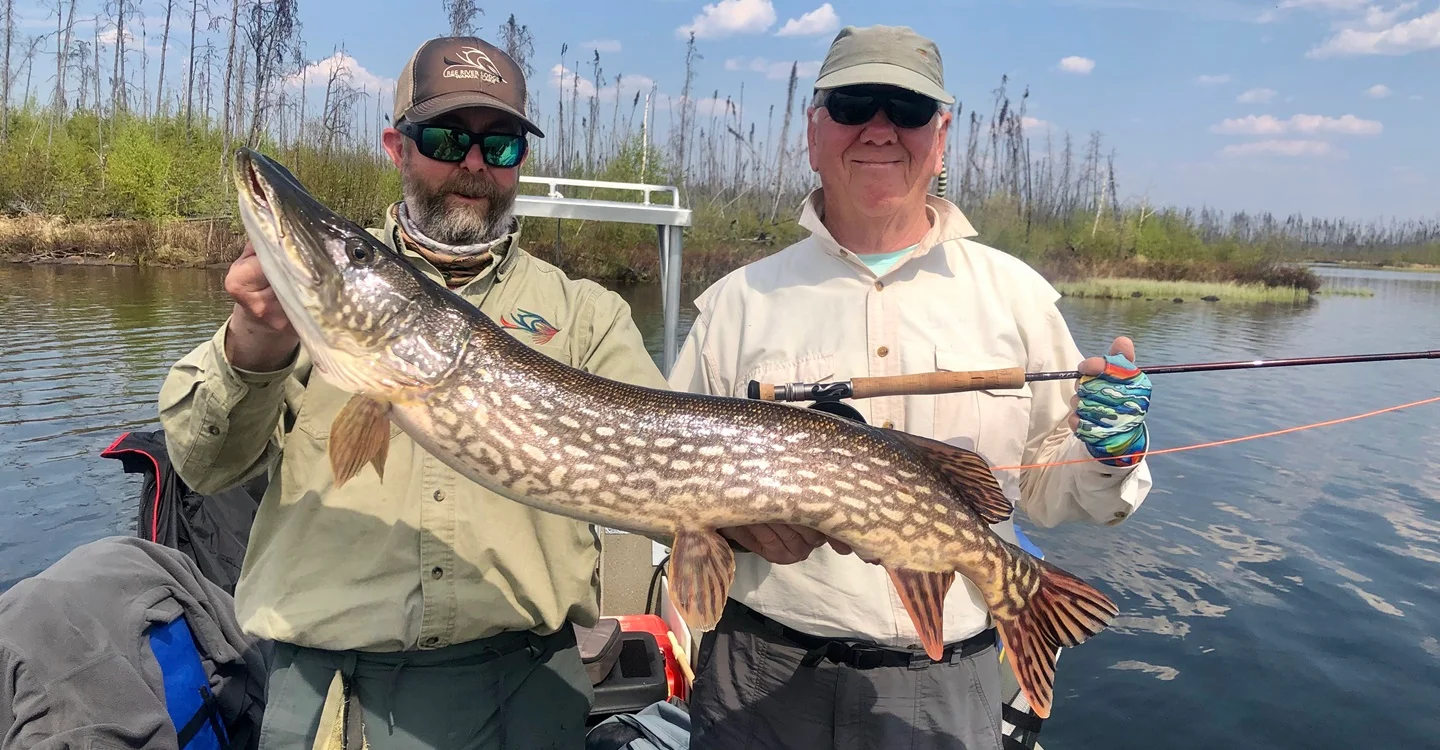 Northern Pike