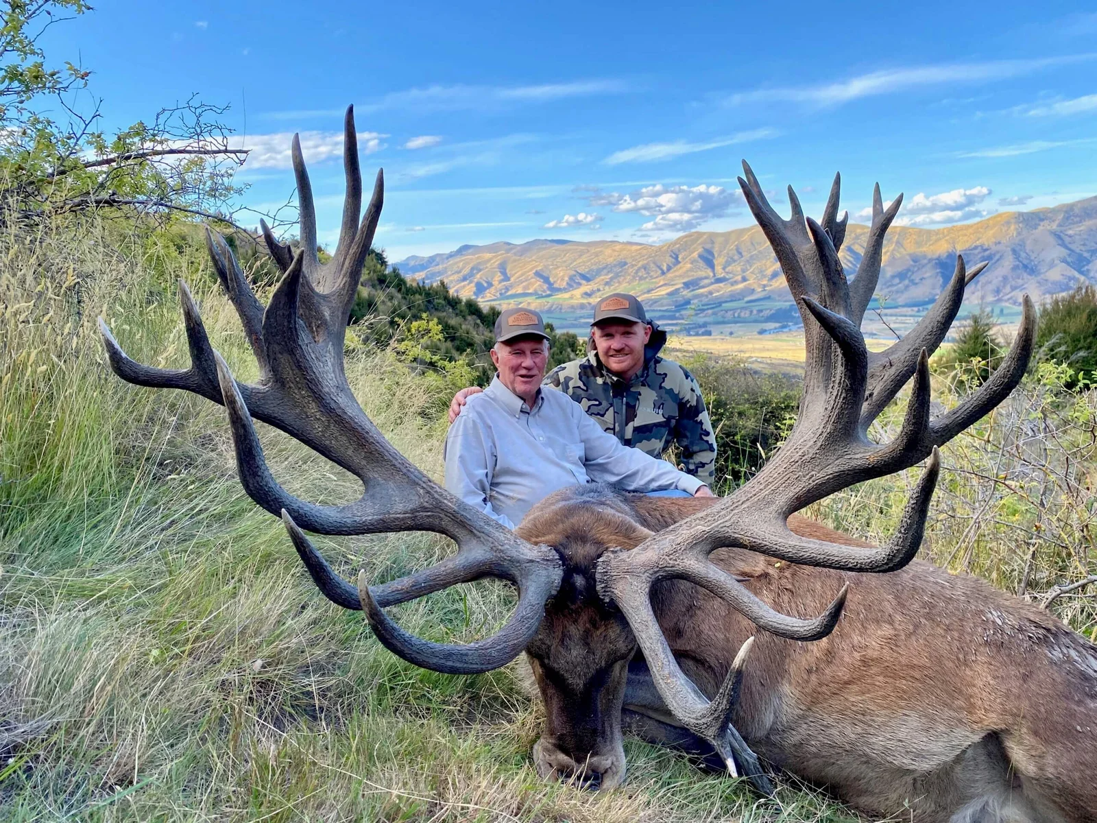 Red Stag