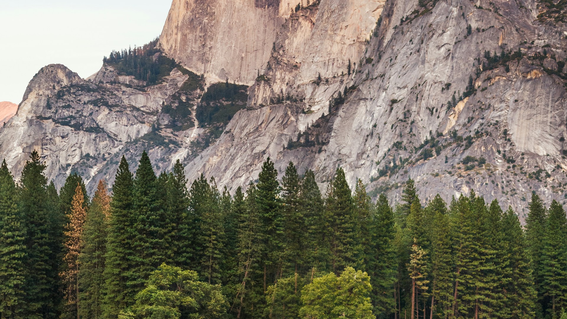 Wilderness landscape